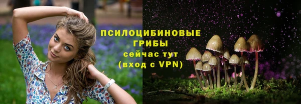 таблы Алексеевка