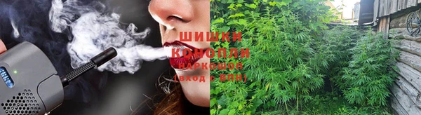 прущие грибы Алексин
