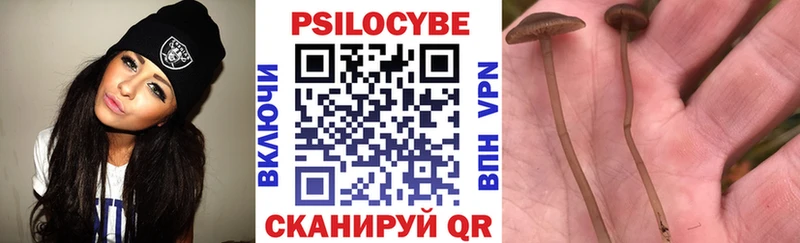 дарк нет наркотические препараты  Карачев  Галлюциногенные грибы прущие грибы 